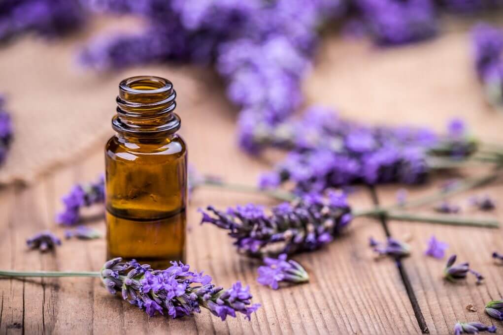 homemade lavender oil